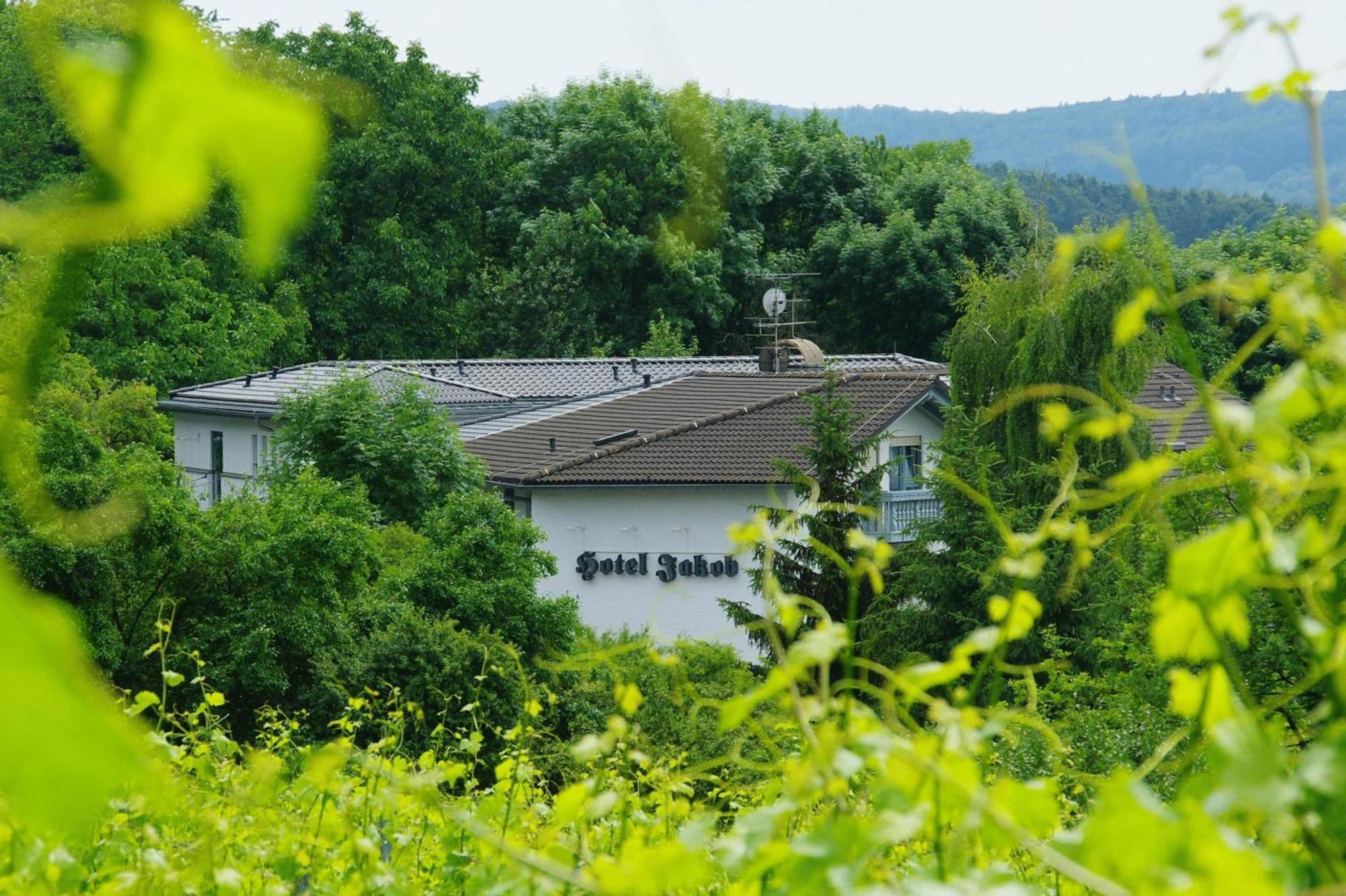 Hotel Jakob Groß-Umstadt المظهر الخارجي الصورة